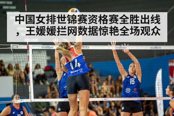 volleyball match action